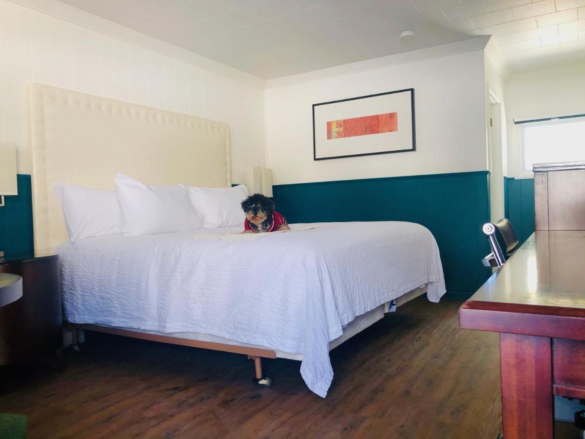 The Voy Motel Schreiber ภายนอก รูปภาพ